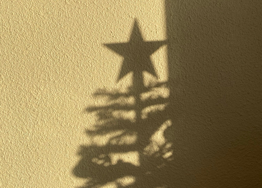 shadow of a christmas tree and star