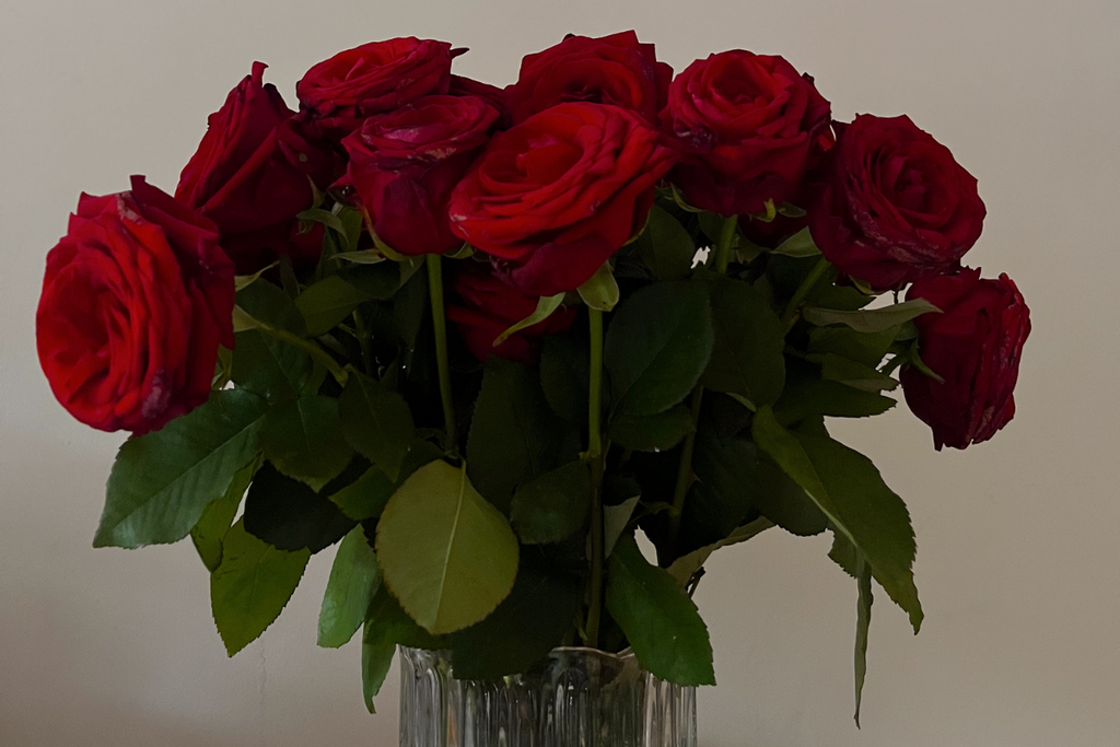 A bouquet of red roses flowers